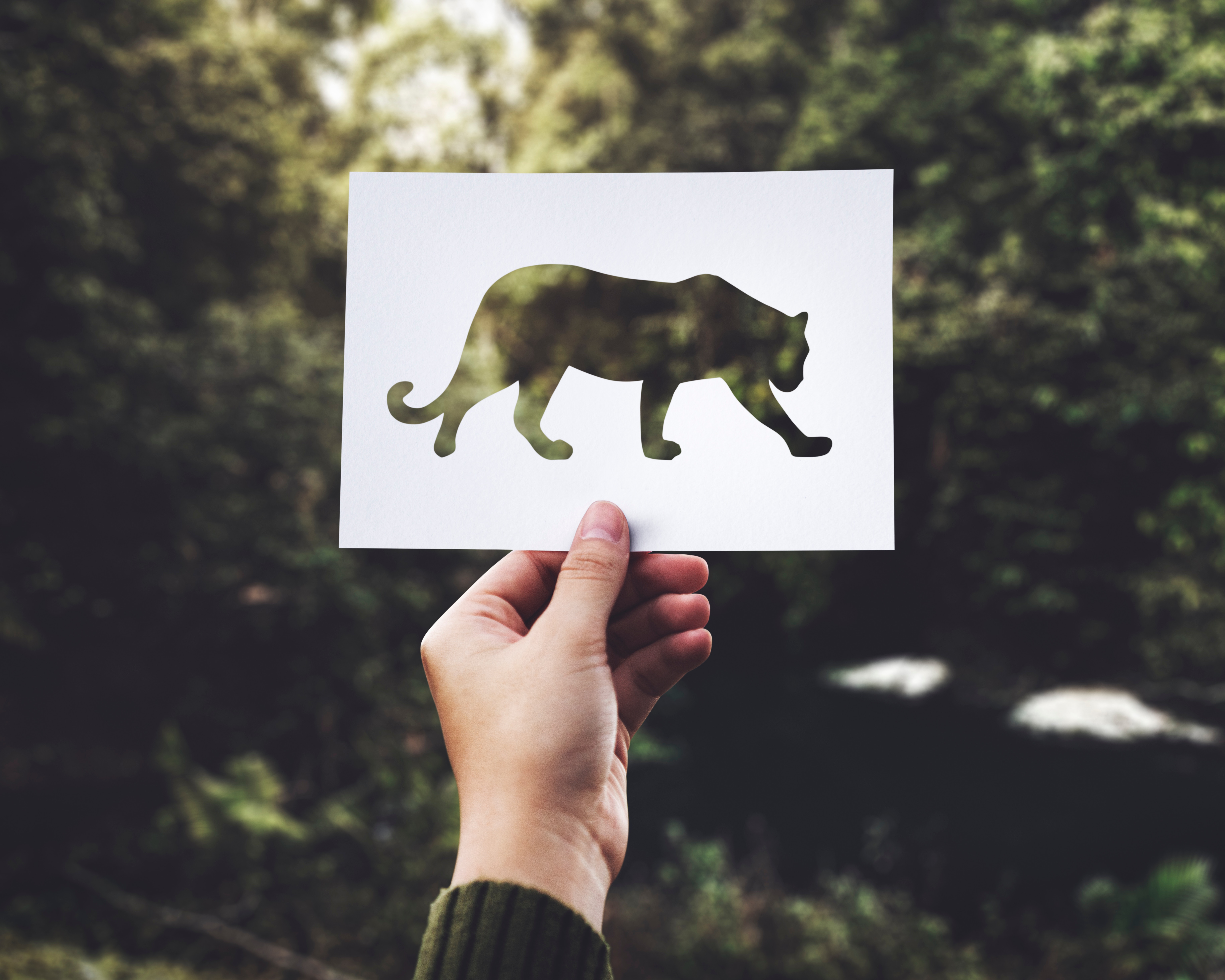 @ Photo by rawpixel.com on Unsplash
